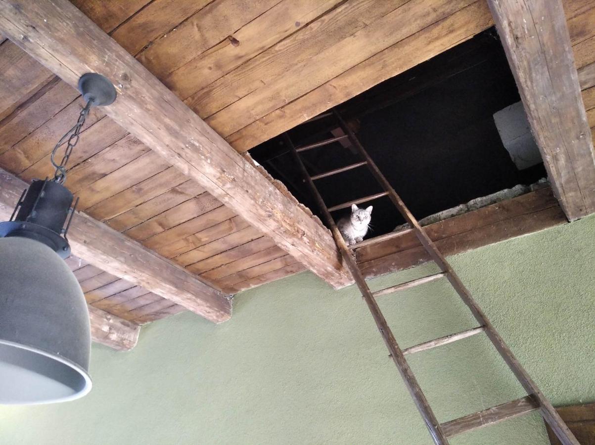 Ubytovani U Malinkovicu Breclav Luaran gambar